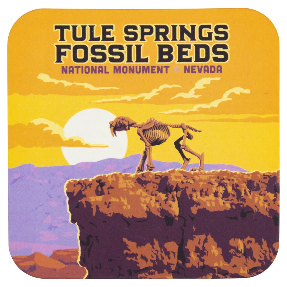 Tule Springs Fossil Beds National Monument ADG Graphic Coaster