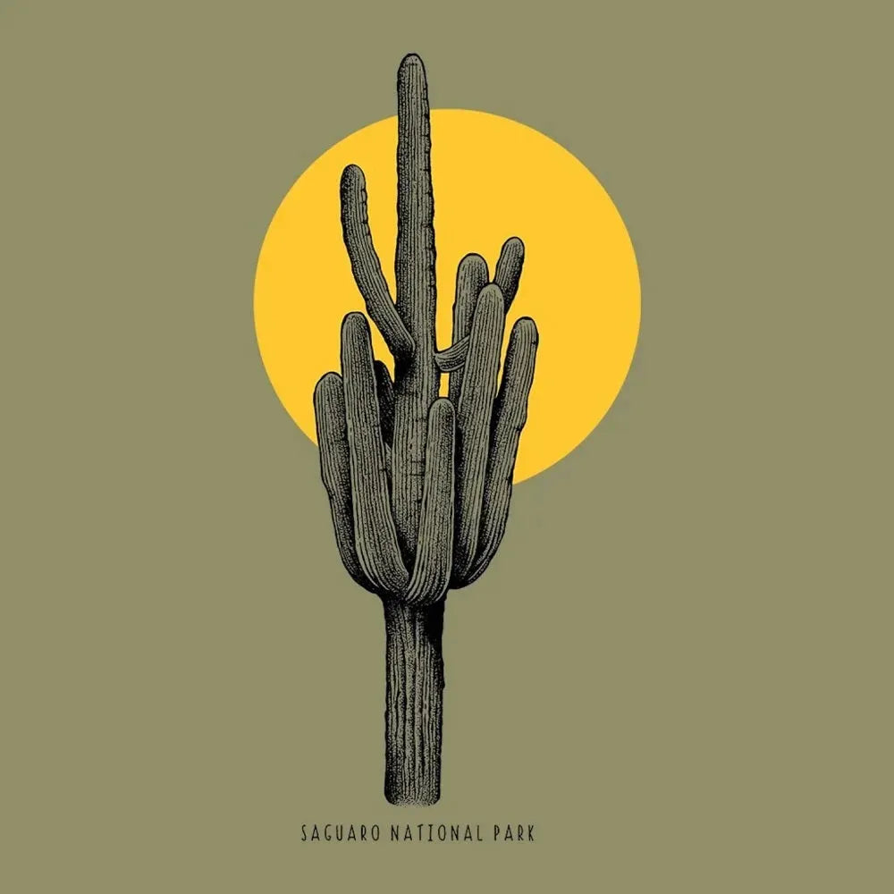 Illustration of a saguaro cactus with a yellow circle in the background on a green background, featuring 'Saguaro National Park'.
