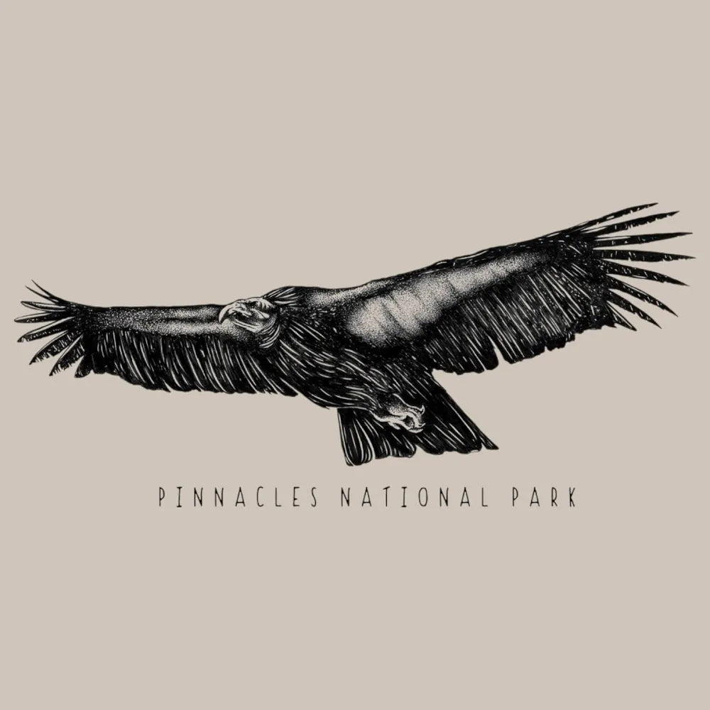 Black and white illustration of a condor with 'Pinnacles National Park' text on a beige background