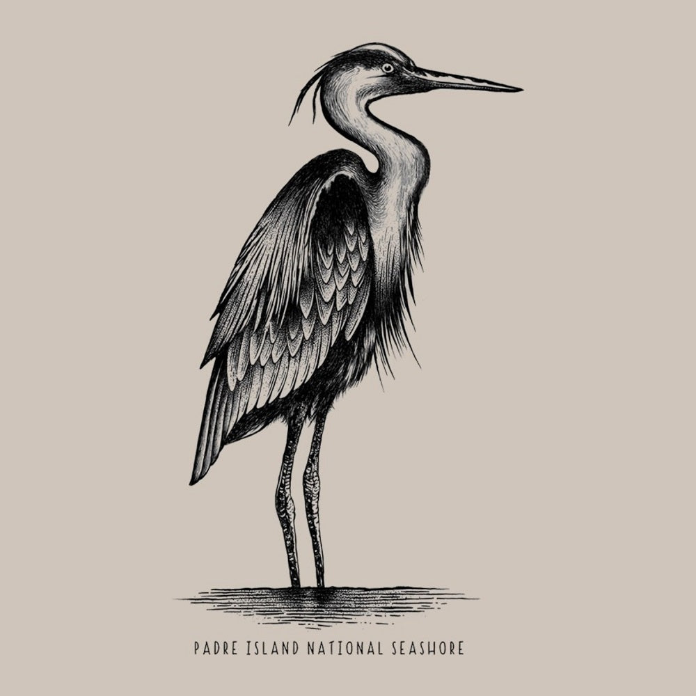 Black and white illustration of a heron on a beige background with 'Padre Island National Seashore' text.
