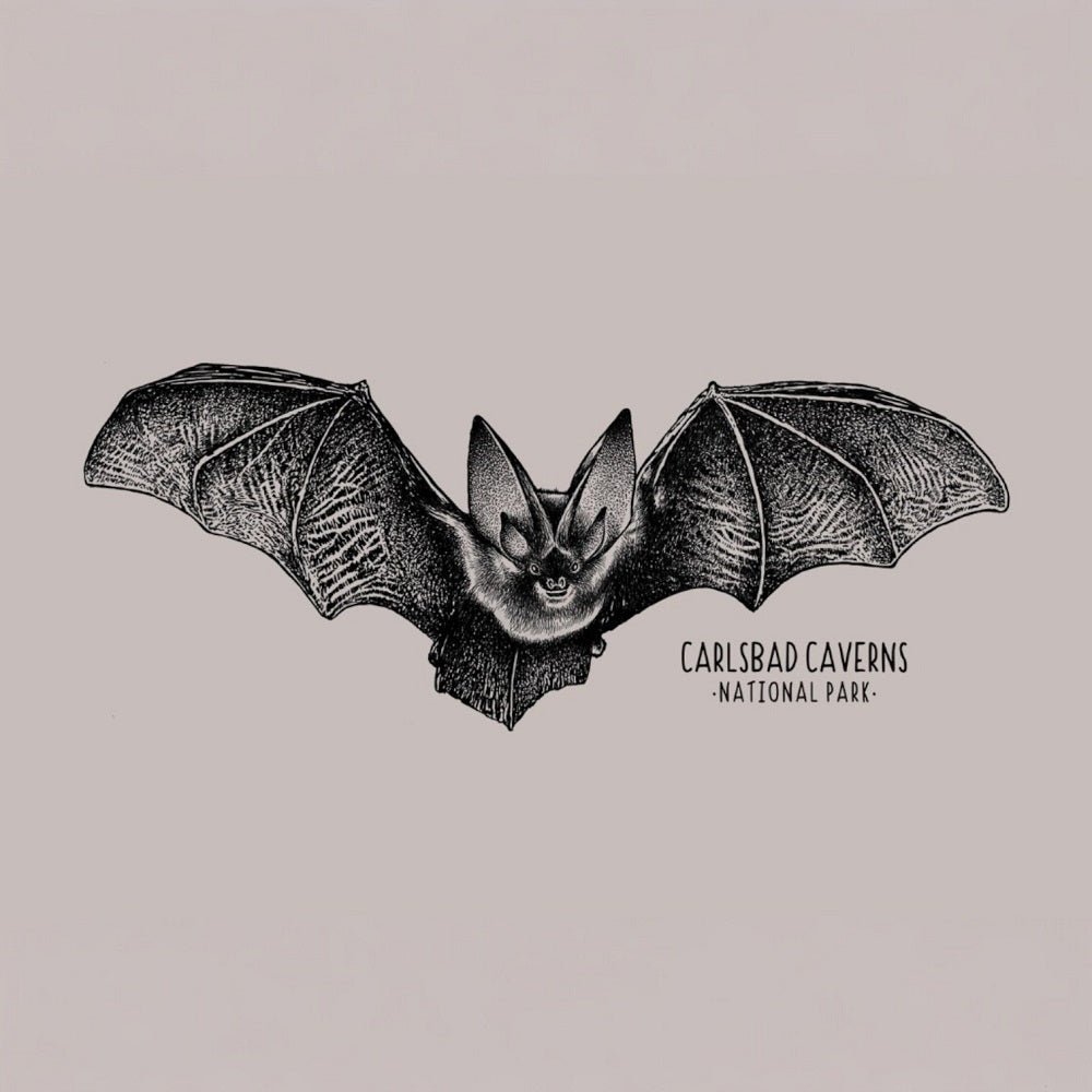 Illustration of a bat with 'Carlsbad Caverns National Park' text on a beige background