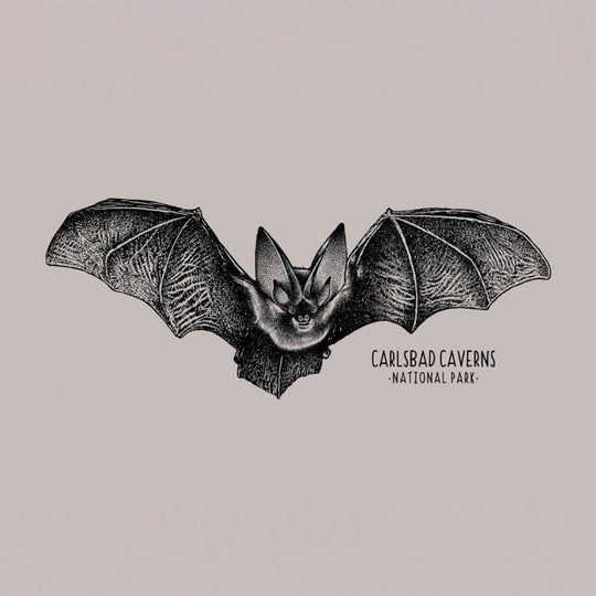 Illustration of a bat with 'Carlsbad Caverns National Park' text on a beige background