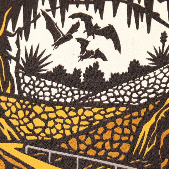 Carlsbad Caverns National Park Fleece Hoodie - Badge logo closeup