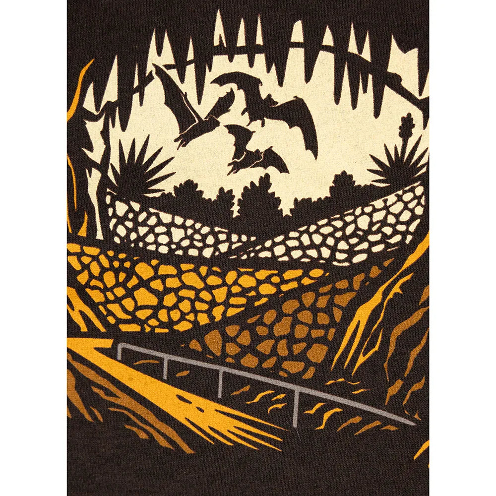 Carlsbad Caverns National Park T-Shirt - Badge logo closeup with bats above cave path