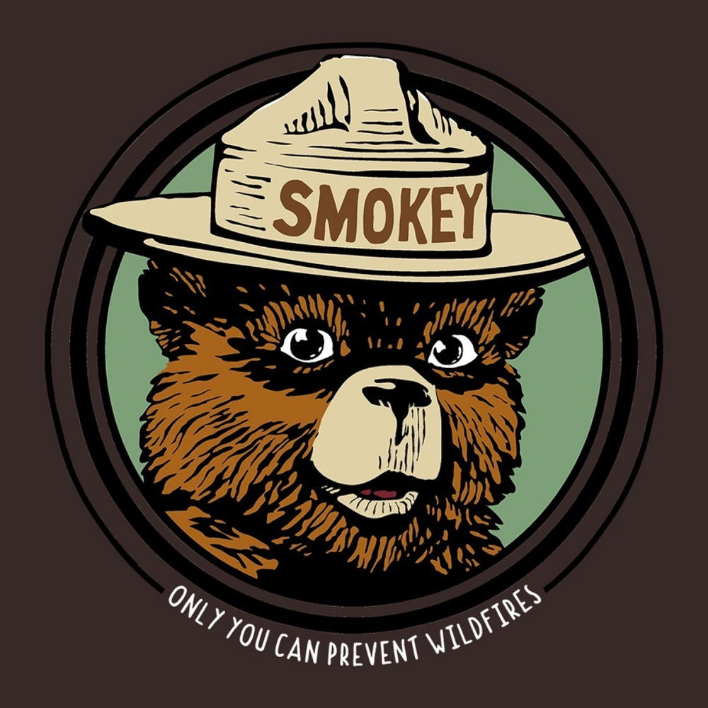 Smokey Bear graphic with a brown background