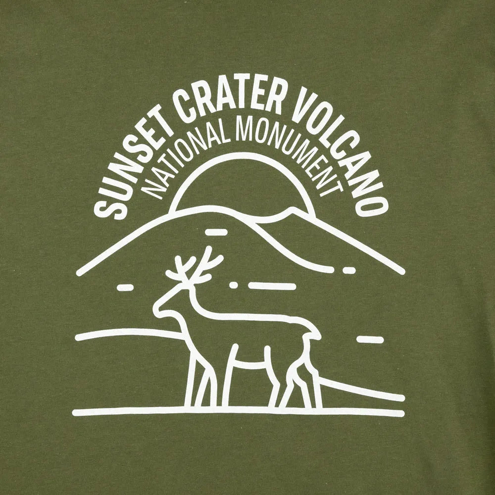 Fell logo Sunset Crater Volcano design detail on a green T-shirt