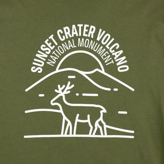 Fell logo Sunset Crater Volcano design detail on a green T-shirt