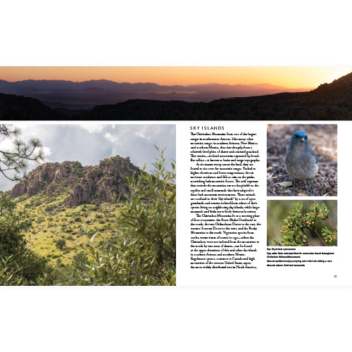 Book interior pages with scenic landscape with mountains and desert, featuring a bird and text on a white background.