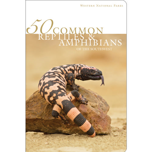 50 Common Reptiles & Amphibians of the Southwest - 2nd Edition front cover