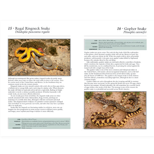 Book page with images and descriptions of snakes, including Regal Ringneck Snake and Gopher Snake.