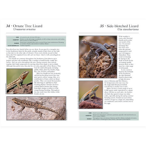 Page from a book featuring images and information about lizards.