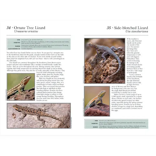 Page from a book featuring images and information about lizards.