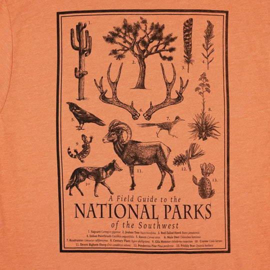 Vintage-style illustration of wildlife and plants with text on an orange background