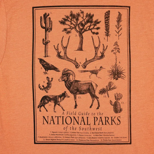Vintage-style illustration of wildlife and plants with text on an orange background