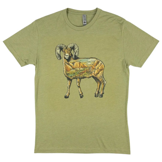 Heather green Icons of the West T-Shirt - Bighorn Sheep on a white background