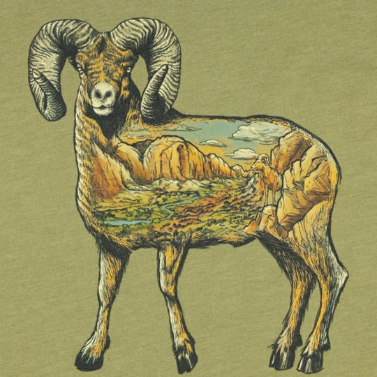 Icons of the West Bighorn Sheep print detail on a heather green shirt