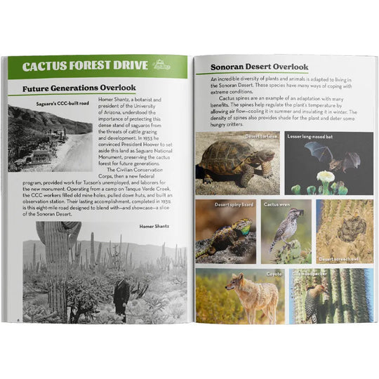 Open book showing pages about Cactus Forest Drive and Sonoran Desert Overlook with images and text.