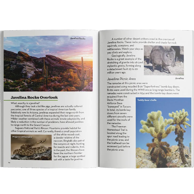Open book showing pages about Javelina Rocks Overlook and Javelina Picnic Area with desert images.