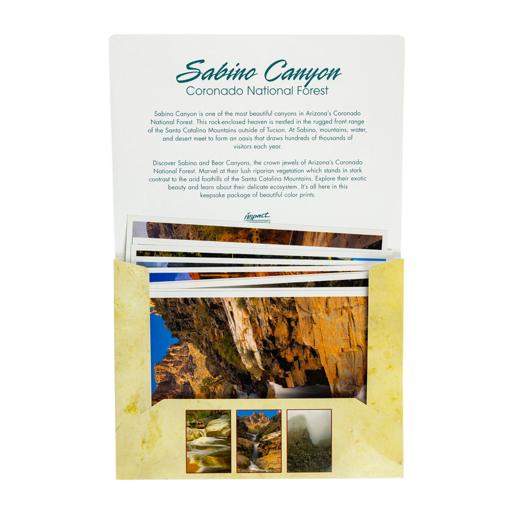 A Postcard Sabino Canyon / Coronado National Forest, shown partially open with a white cover page and several interior pages visible. The lower section has a gold-toned textured panel with canyon landscape photos and small inset images.