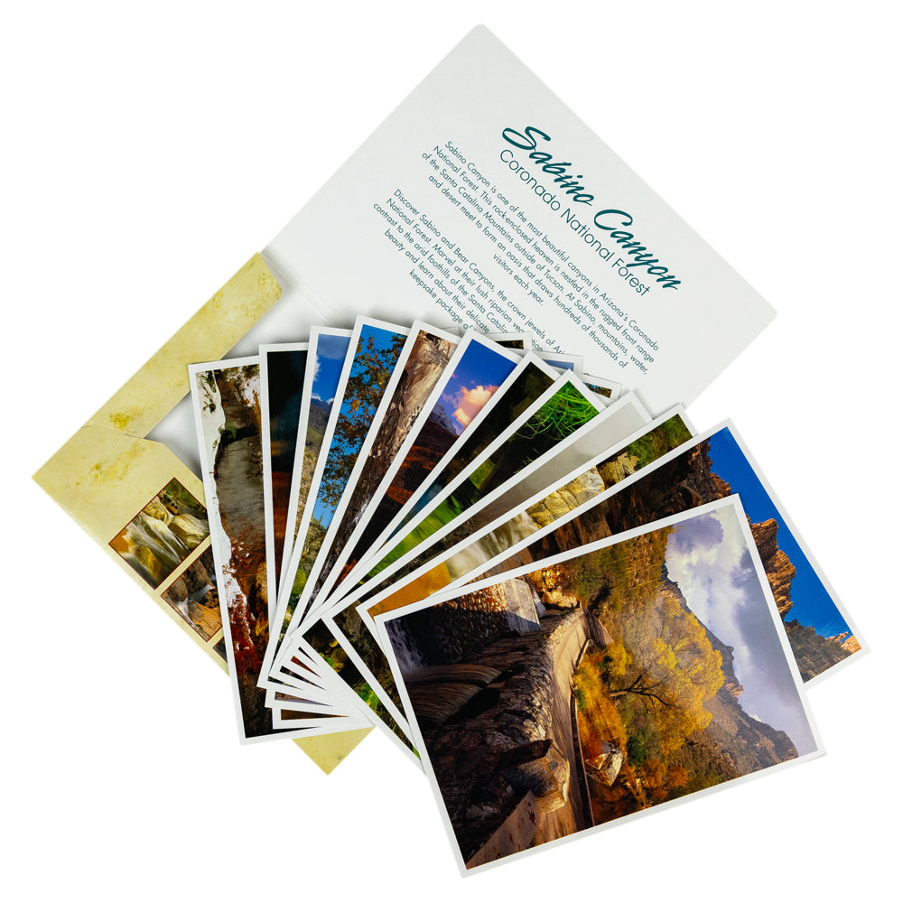 A set of printed scenic postcards fanned out beneath a white printed cover card labeled &