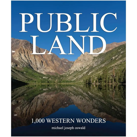 Book cover of &