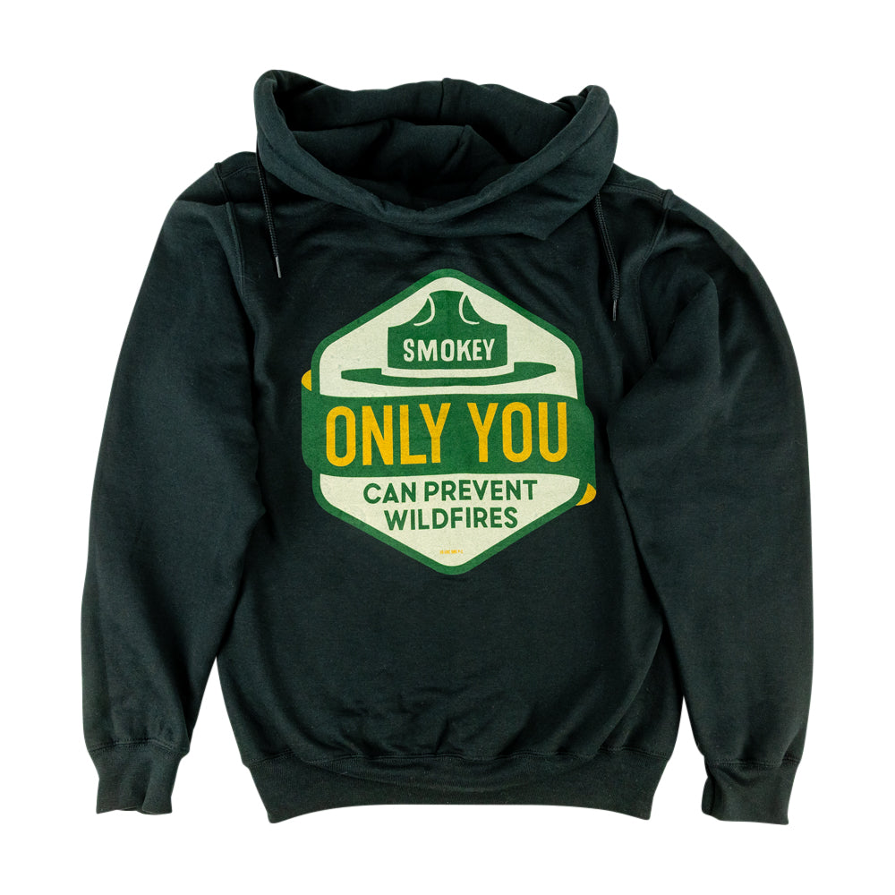 A dark gray pullover hoodie with a large graphic printed on the back of a shield shape with a green and cream background, featuring the text &