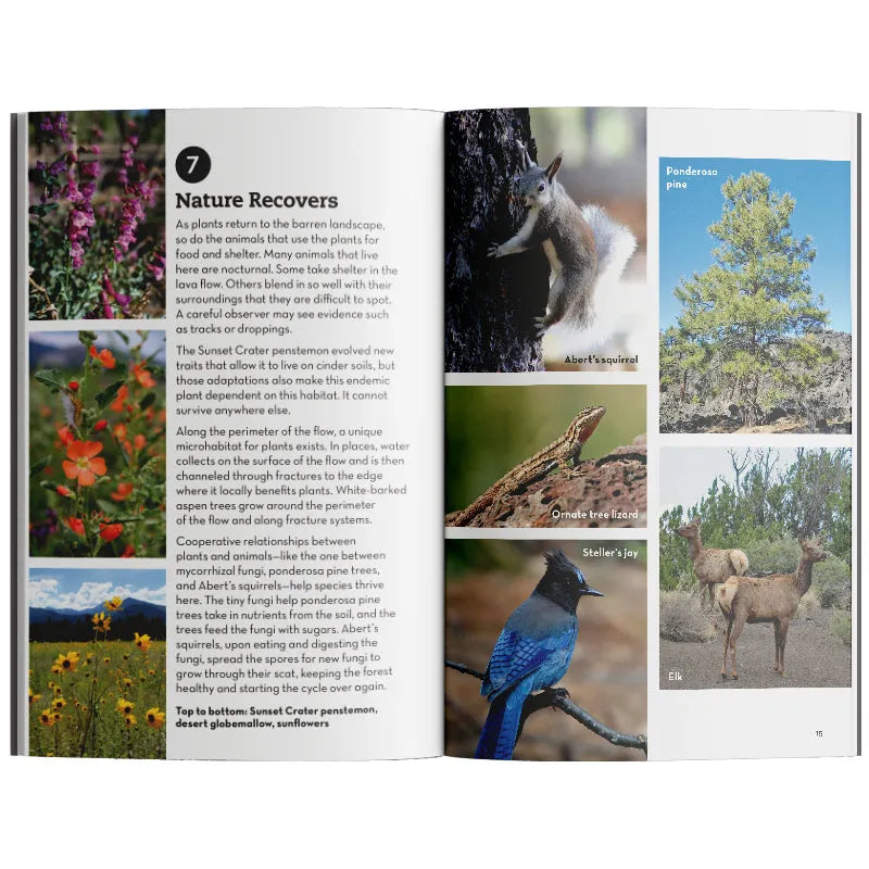 Open book showing a nature-themed page with images of animals and plants.