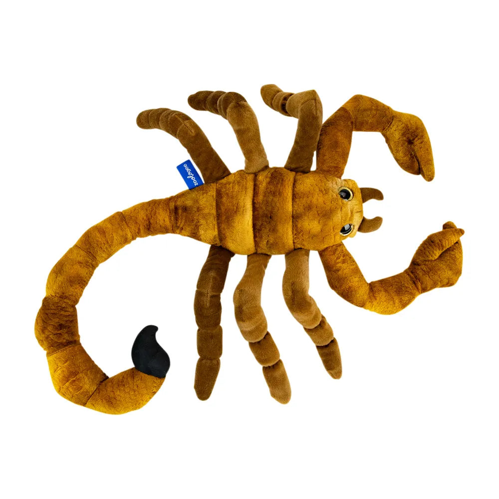 A plush toy scorpion in a top-down view, featuring a segmented body, articulated legs, a curved tail with a black tip, and a small embroidered eye, shown on a plain white background.