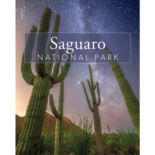 Saguaro National Park Interpretive Guiide cover with cacti and a starry night sky