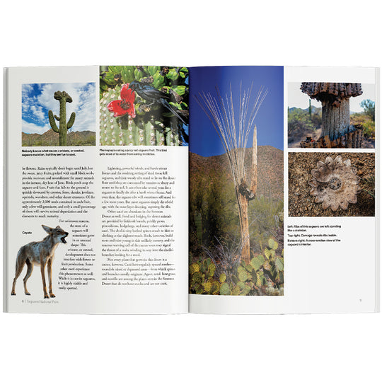 Open book with images of a desert landscape, including cacti and a wolf, on a white background.