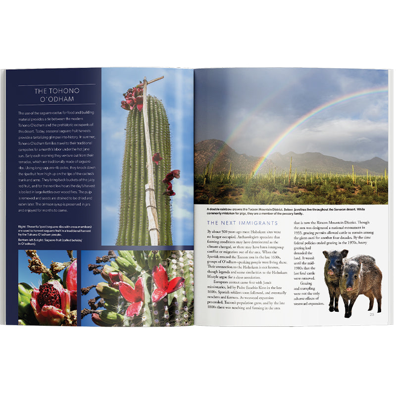 Open book showing a cactus, rainbow, and desert landscape with text on Tohono O&