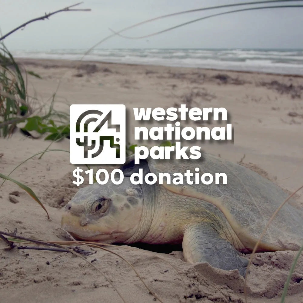 Donation of $100