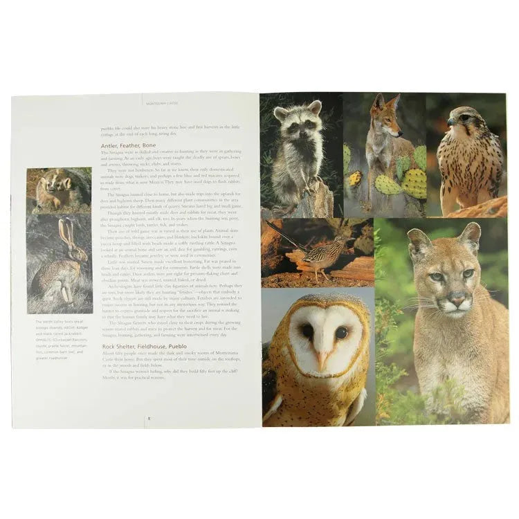 Montezuma Castle National Monument Book Interior Pages