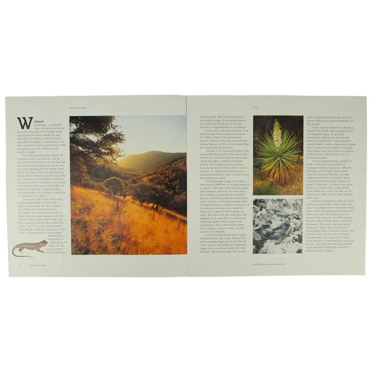 Coronado National Memorial Interior Pages