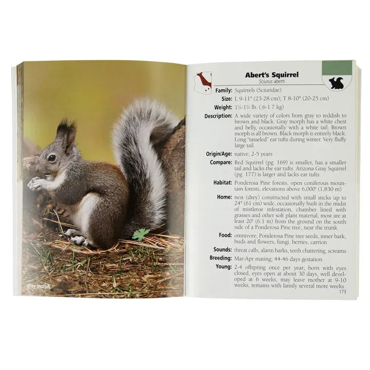 Mammals of Arizona Field Guide by Stan Tekiela interior pages about Abert's squirrel