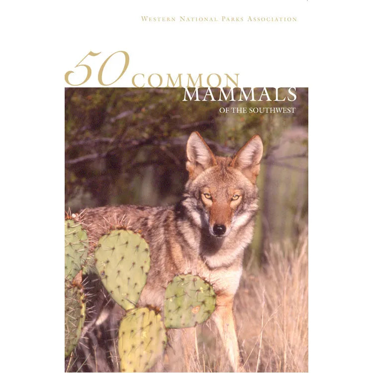 50 Common Mammals of the Southwest Front Cover