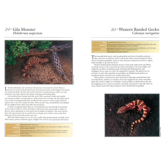 50 Common Reptiles & Amphibians of the Southwest