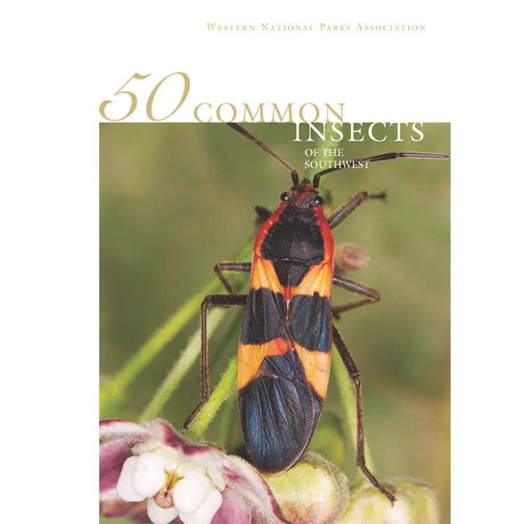 50 Common Insects of the Southwest Front Cover