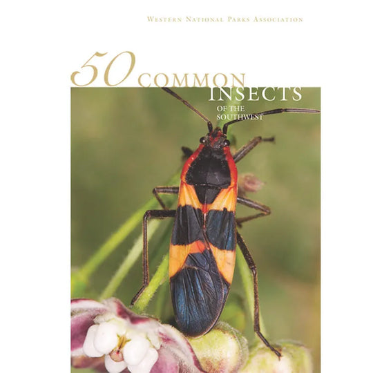 50 Common Insects of the Southwest Front Cover