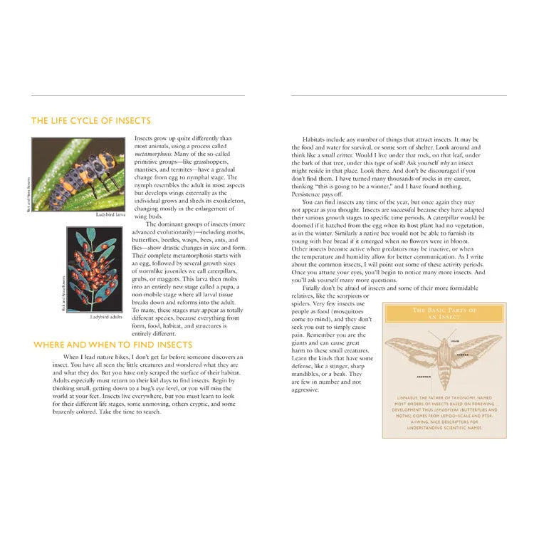 50 Common Insects of the Southwest Interior Pages