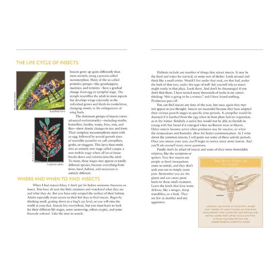 50 Common Insects of the Southwest Interior Pages