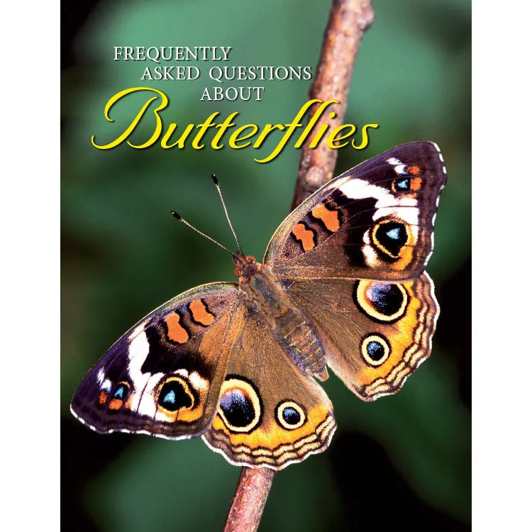 Frequently Asked Questions About Butterflies Front Cover