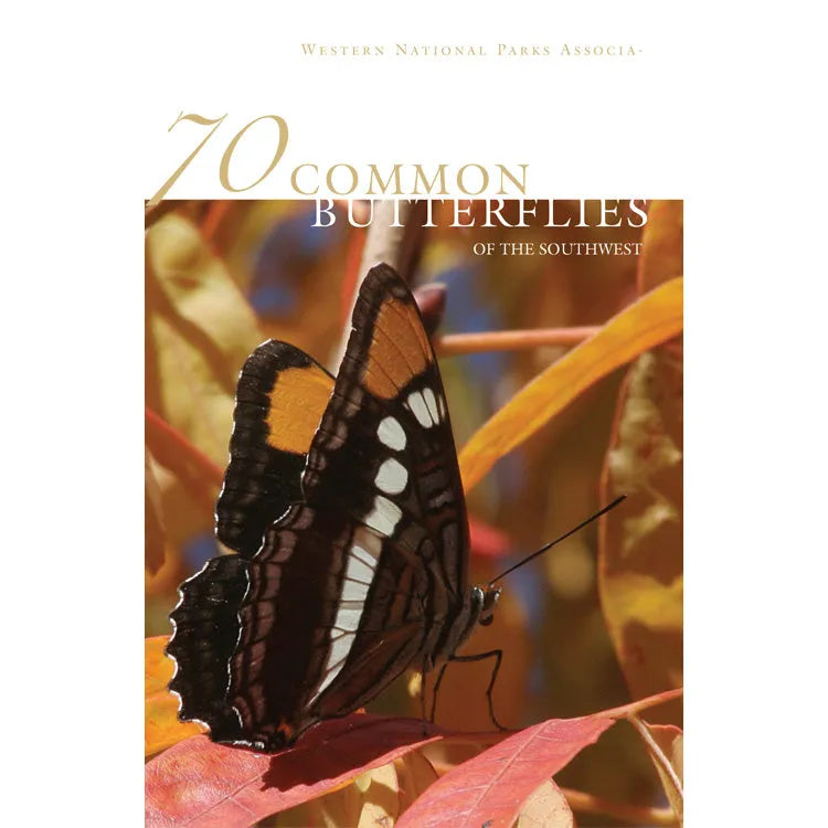 70 Common Butterflies of the Southwest Front Cover