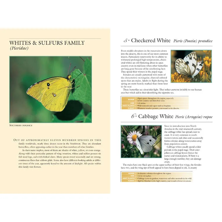 70 Common Butterflies of the Southwest Interior Pages