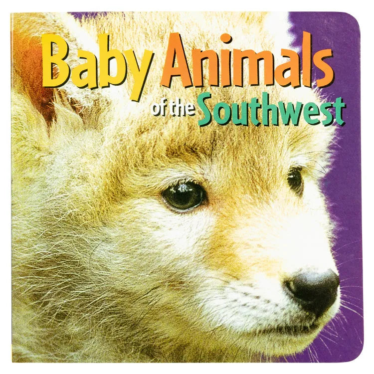 Baby Animals of the Southwest front cover