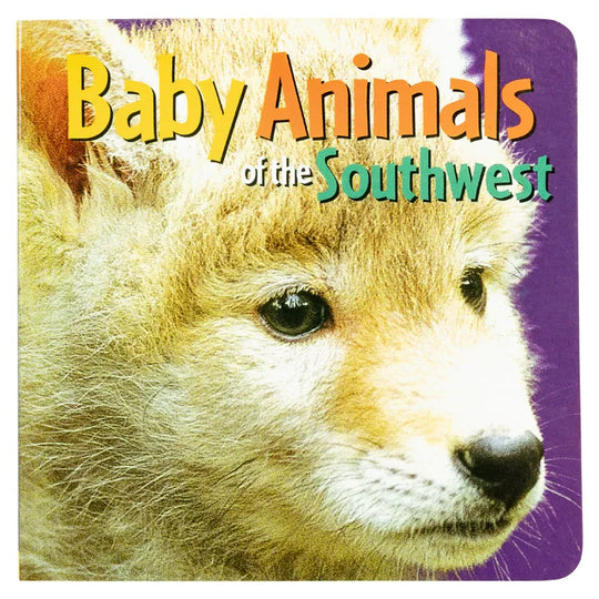 Baby Animals of the Southwest front cover