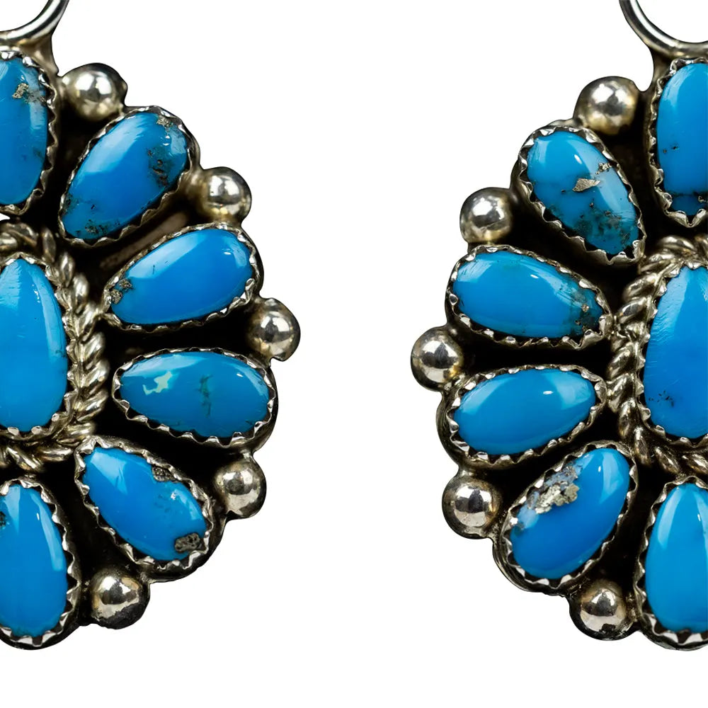 Pair of earrings with blue gemstones and silver accents on a white background
