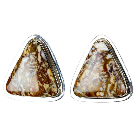 Triangular stone earrings with silver frames on a white background