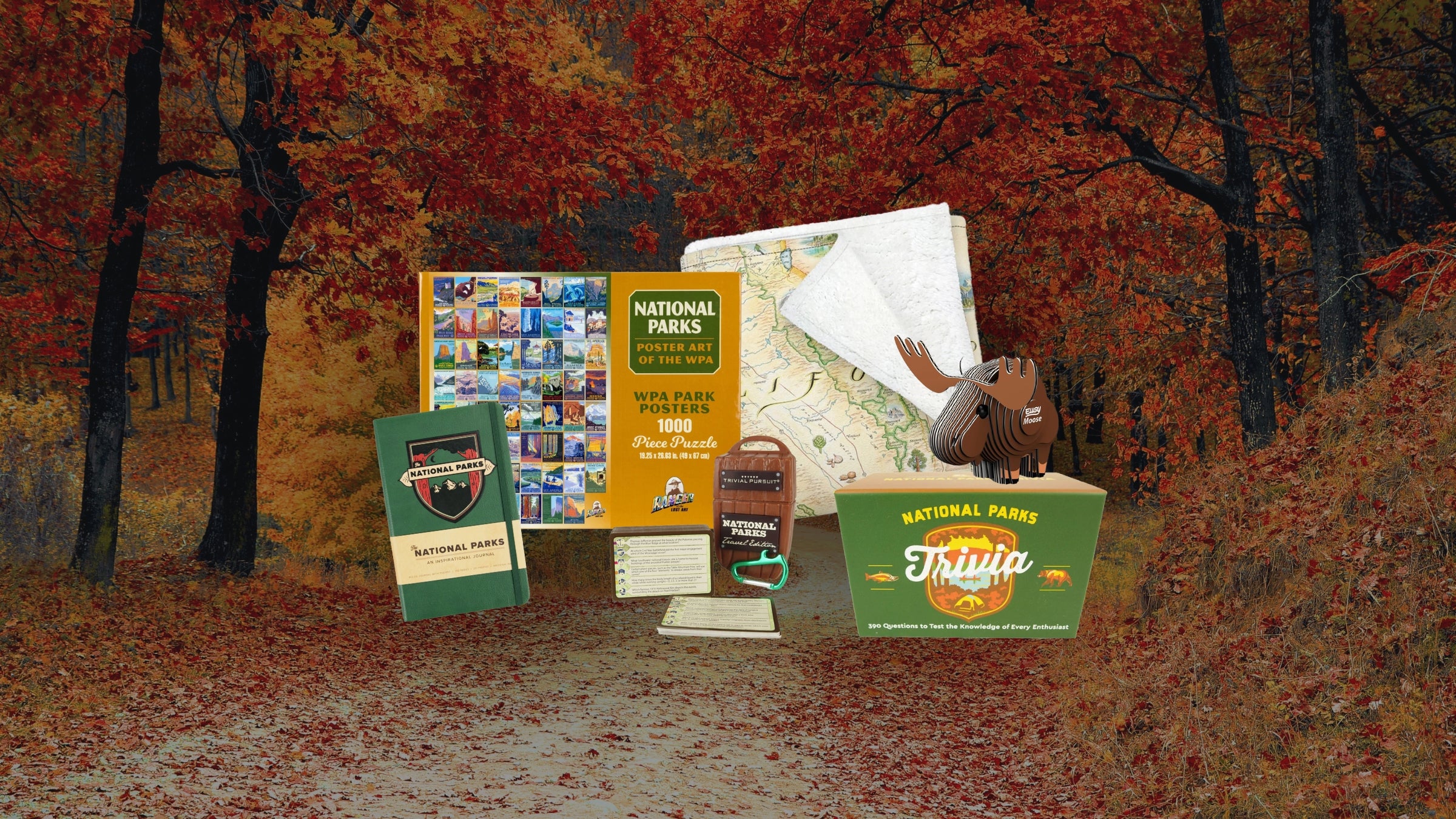 Collection of National Park-themed items including books and a box on a forest floor with autumn leaves.