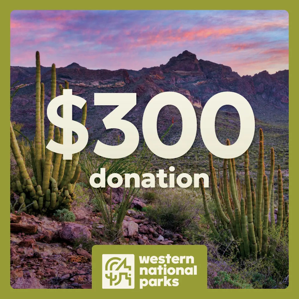 Desert landscape with cacti and mountains, featuring a $300 donation text and Western National Parks logo.